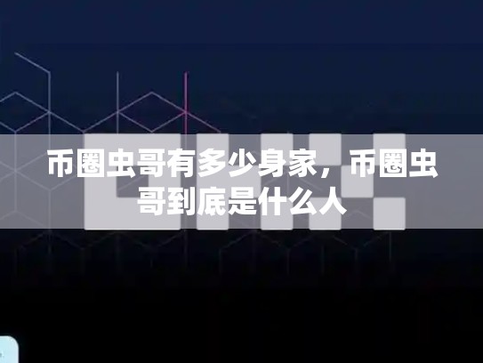 币圈虫哥有多少身家，币圈虫哥到底是什么人-第1张图片-币数通