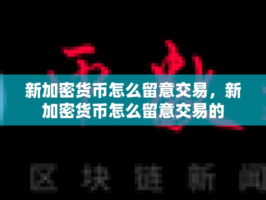 新加密货币怎么留意交易，新加密货币怎么留意交易的-第1张图片-币数通