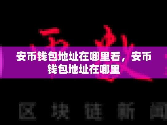 安币钱包地址在哪里看，安币钱包地址在哪里