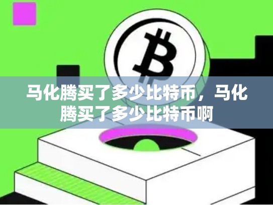 马化腾买了多少比特币，马化腾买了多少比特币啊-第1张图片-币数通