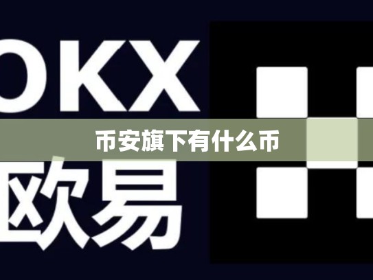 币安旗下有什么币