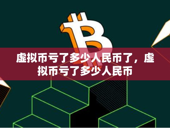 虚拟币亏了多少人民币了，虚拟币亏了多少人民币