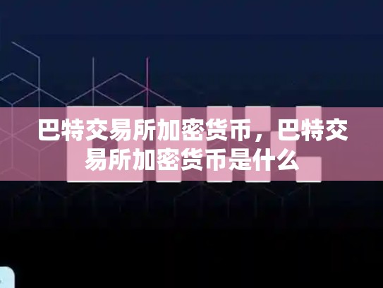 巴特交易所加密货币，巴特交易所加密货币是什么