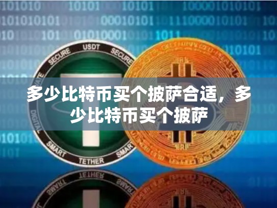 多少比特币买个披萨合适，多少比特币买个披萨-第1张图片-币数通