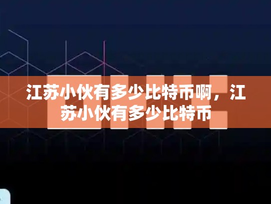 江苏小伙有多少比特币啊，江苏小伙有多少比特币