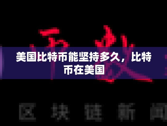美国比特币能坚持多久，比特币在美国-第1张图片-币数通