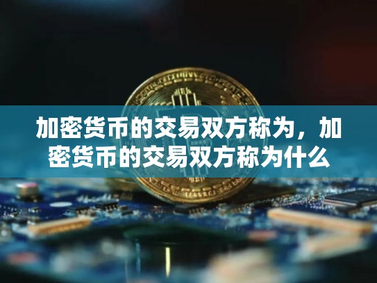 加密货币的交易双方称为，加密货币的交易双方称为什么