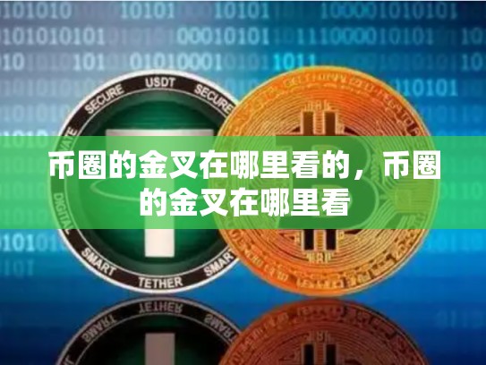 币圈的金叉在哪里看的，币圈的金叉在哪里看