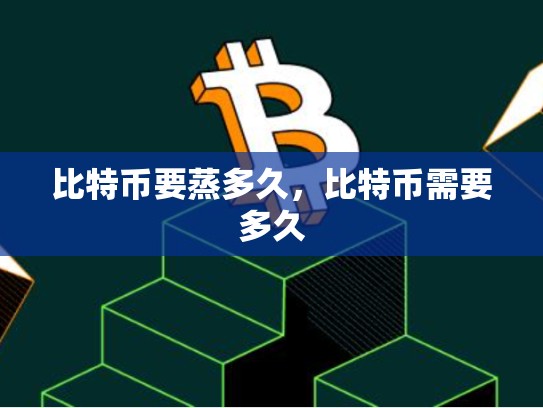 比特币要蒸多久，比特币需要多久