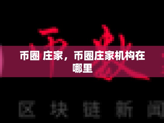 币圈 庄家，币圈庄家机构在哪里