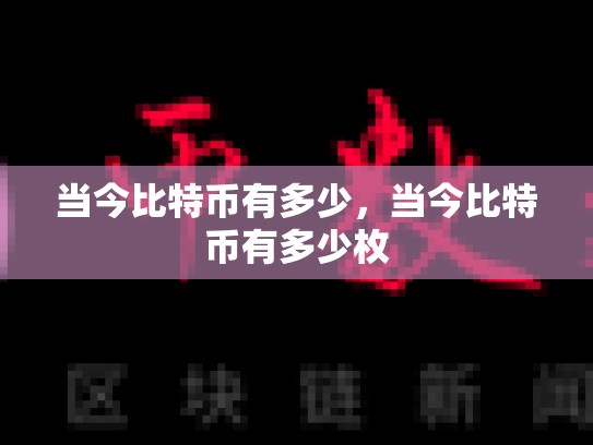 当今比特币有多少，当今比特币有多少枚-第1张图片-币数通