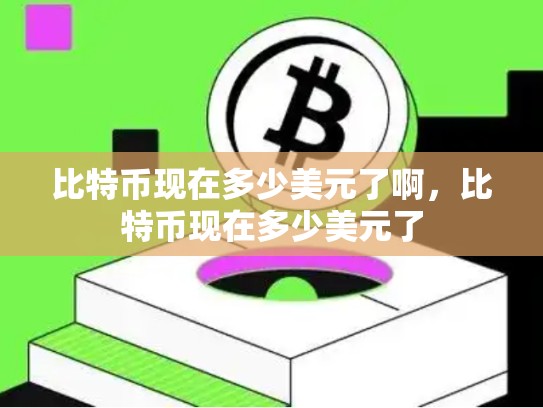 比特币现在多少美元了啊，比特币现在多少美元了