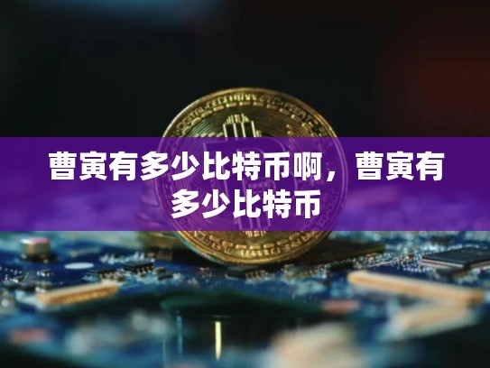 曹寅有多少比特币啊，曹寅有多少比特币-第1张图片-币数通
