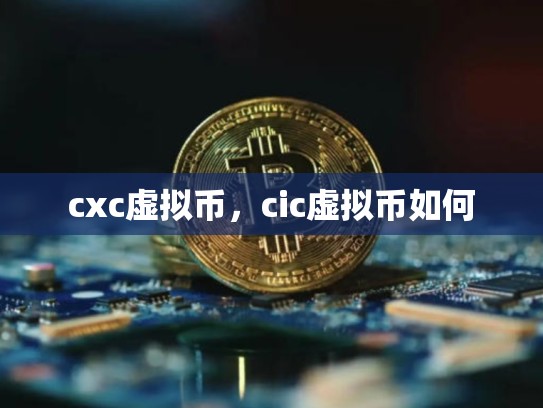 cxc虚拟币，cic虚拟币如何