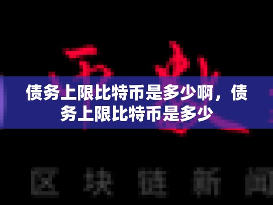 债务上限比特币是多少啊，债务上限比特币是多少-第1张图片-币数通