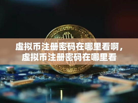 虚拟币注册密码在哪里看啊，虚拟币注册密码在哪里看
