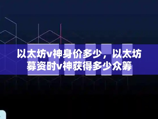 以太坊v神身价多少，以太坊募资时v神获得多少众筹-第1张图片-币数通