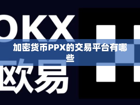 加密货币PPX的交易平台有哪些-第1张图片-币数通