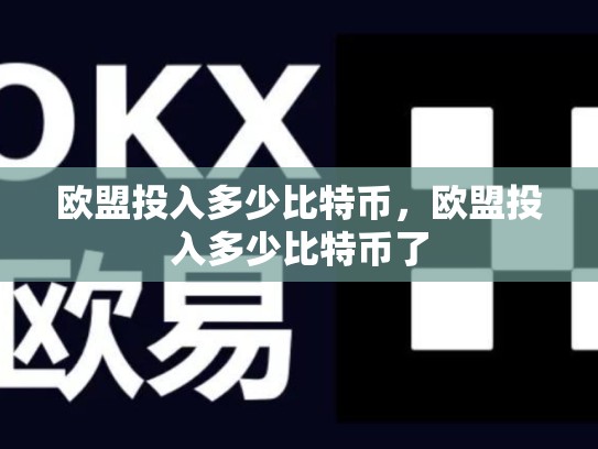 欧盟投入多少比特币，欧盟投入多少比特币了