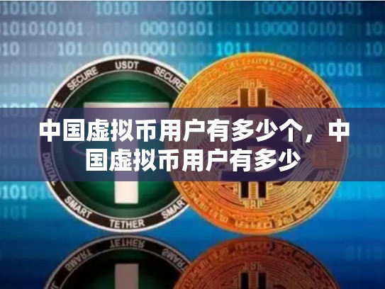 中国虚拟币用户有多少个，中国虚拟币用户有多少-第1张图片-币数通