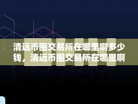 清远币圈交易所在哪里啊多少钱，清远币圈交易所在哪里啊-第1张图片-币数通