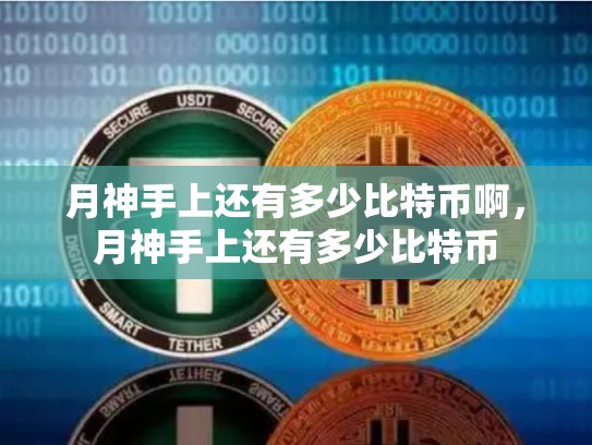 月神手上还有多少比特币啊，月神手上还有多少比特币-第1张图片-币数通