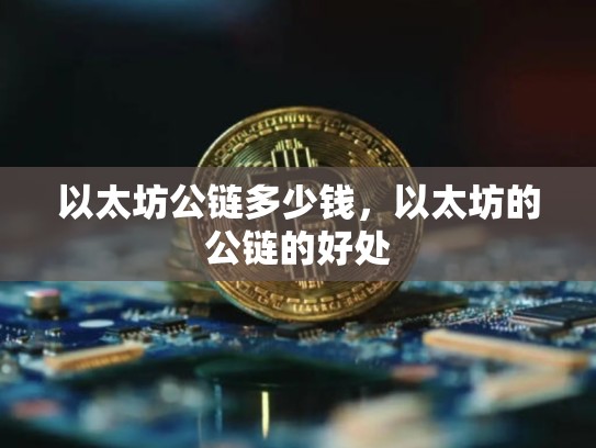 以太坊公链多少钱，以太坊的公链的好处
