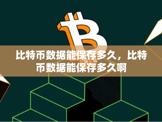 比特币数据能保存多久，比特币数据能保存多久啊-第1张图片-币数通