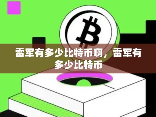 雷军有多少比特币啊，雷军有多少比特币