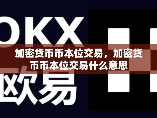 加密货币币本位交易，加密货币币本位交易什么意思-第1张图片-币数通