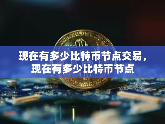 现在有多少比特币节点交易，现在有多少比特币节点