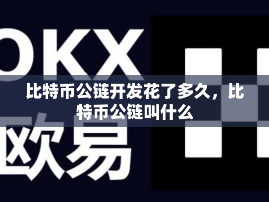 比特币公链开发花了多久，比特币公链叫什么