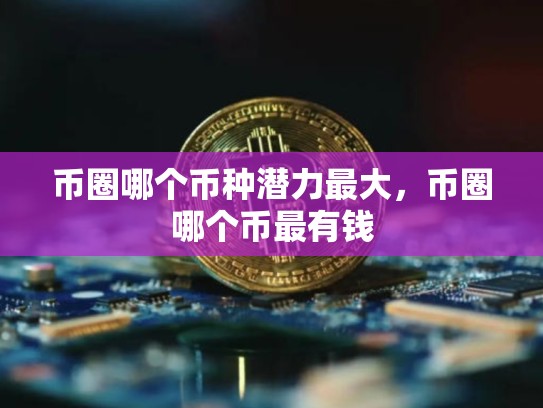 币圈哪个币种潜力最大，币圈哪个币最有钱